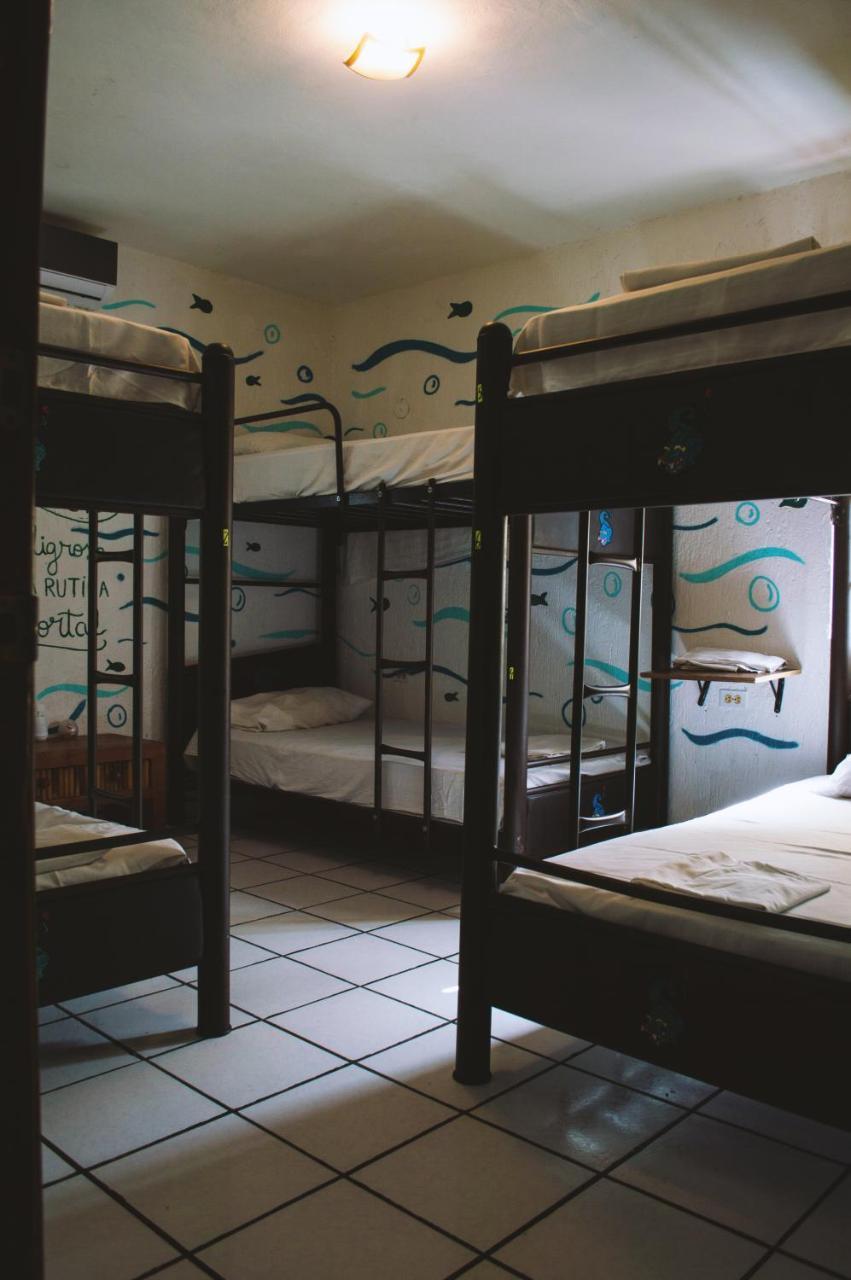 Kukulcan Hostel & Friends كانكون المظهر الخارجي الصورة