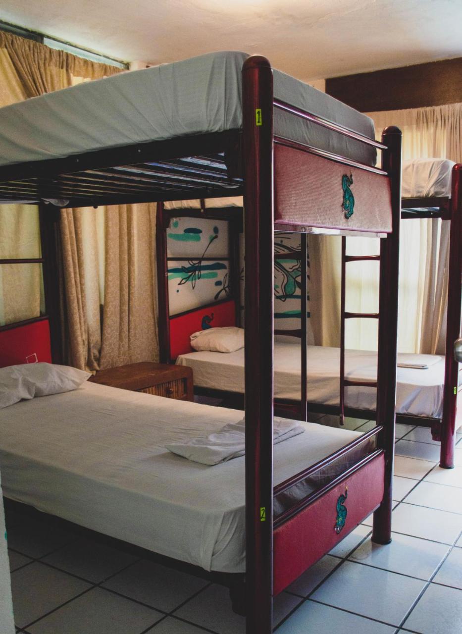 Kukulcan Hostel & Friends كانكون الغرفة الصورة